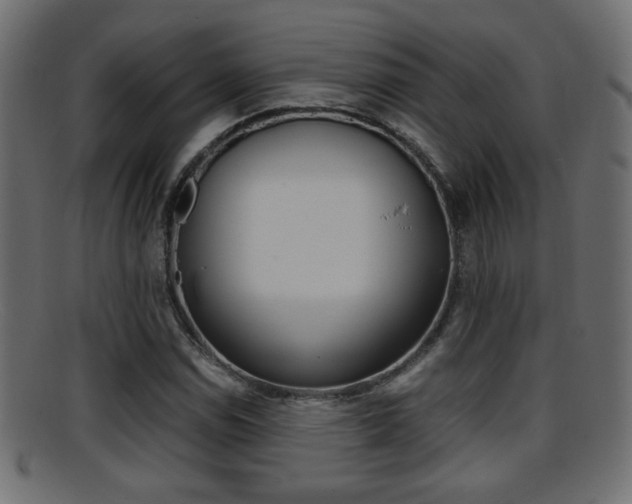 X0000095691114200801081033