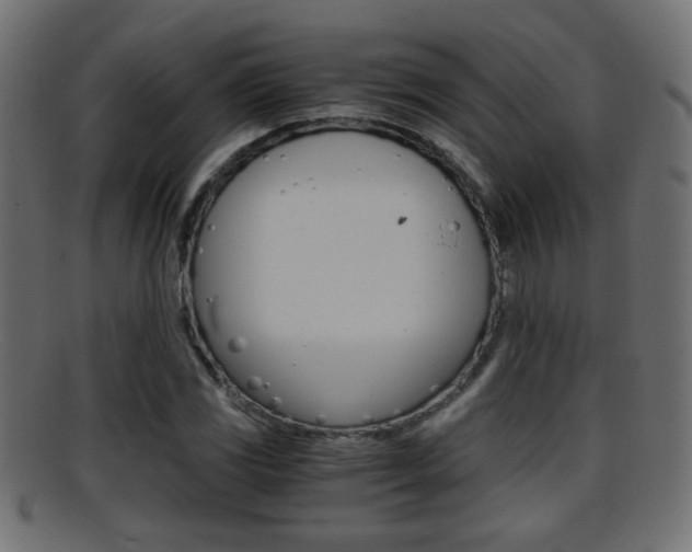 X0000095691117200801081033