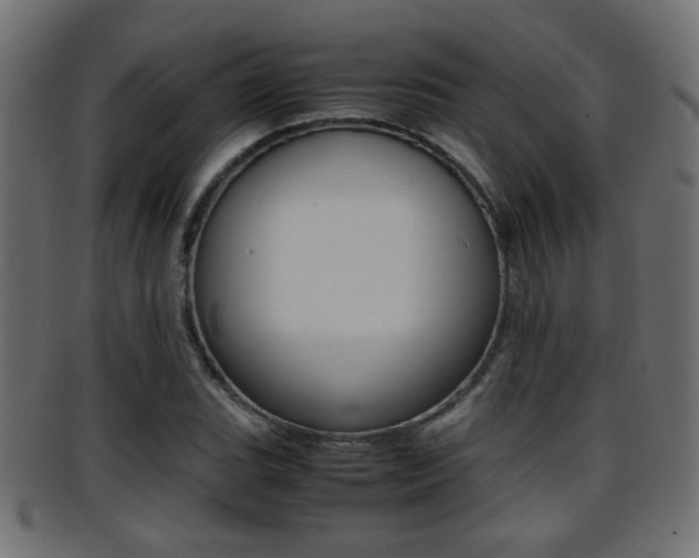 X0000095691119200801081033