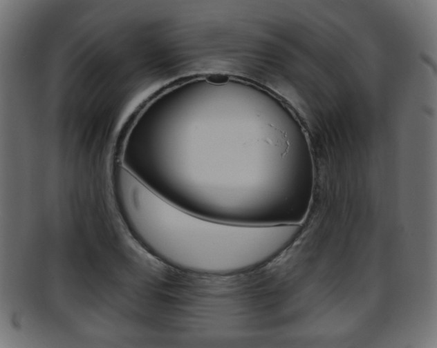 X0000095691120200801081033