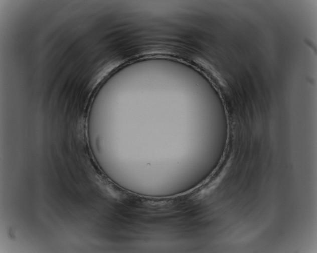 X0000095691121200801081033