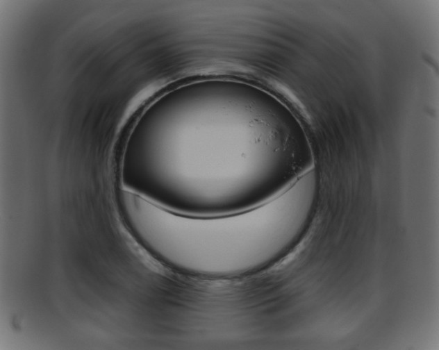 X0000095691122200801081033