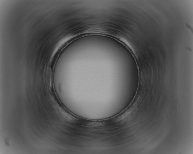 X0000095691123200801081033