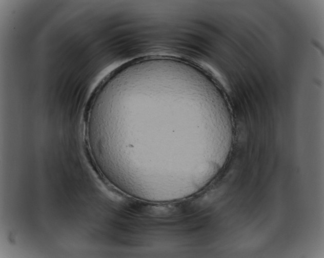 X0000095691125200801081033