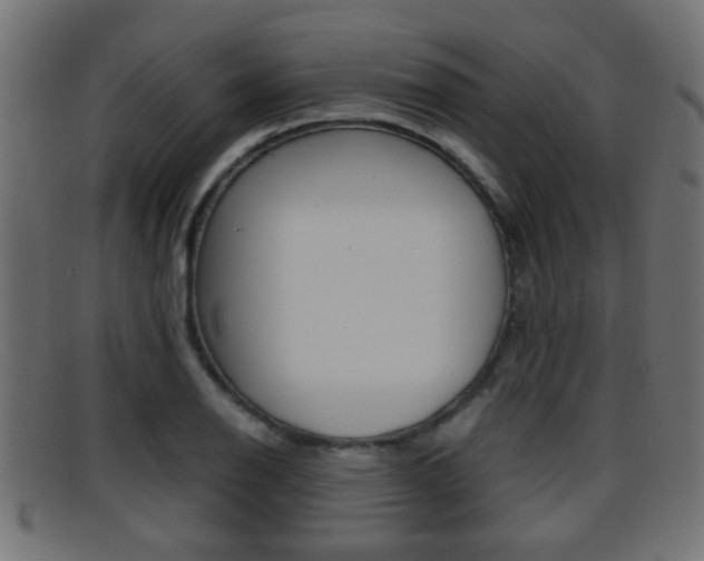 X0000095691126200801081033