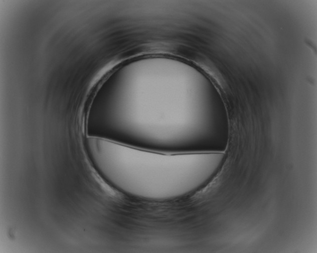 X0000095691127200801081033