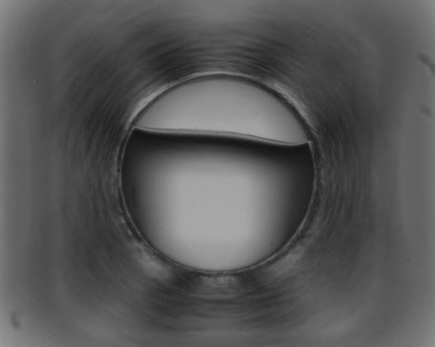 X0000095691129200801081033