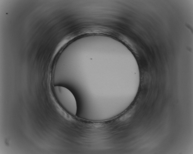 X0000095691130200801081033