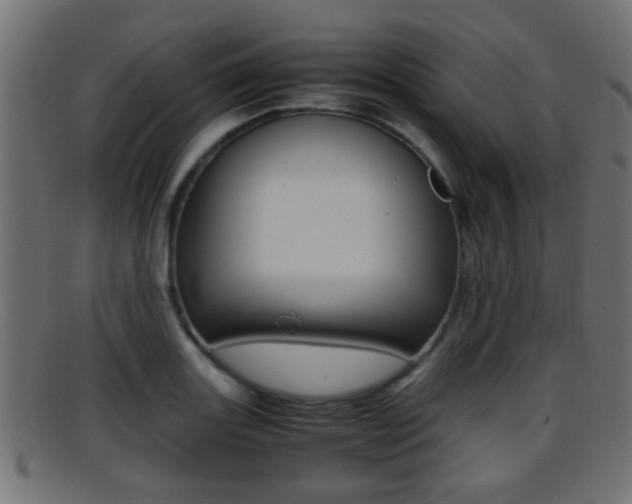 X0000095691131200801081033