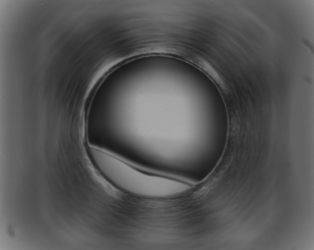 X0000095691132200801081033
