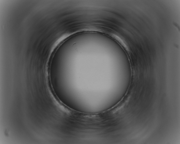 X0000095691133200801081033
