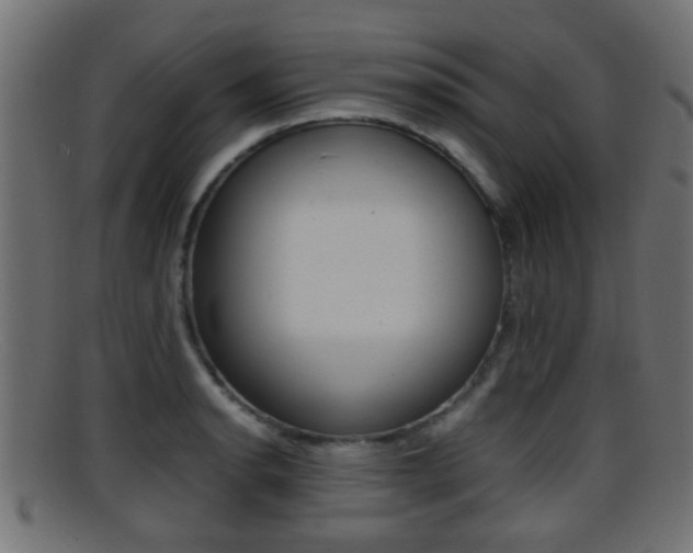 X0000095691134200801081033