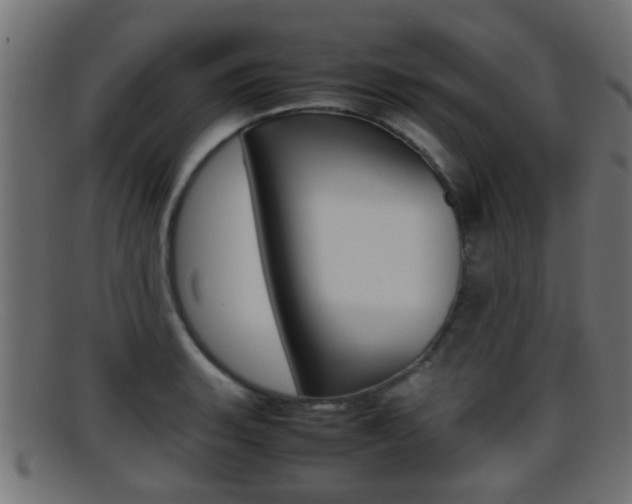 X0000095691135200801081033
