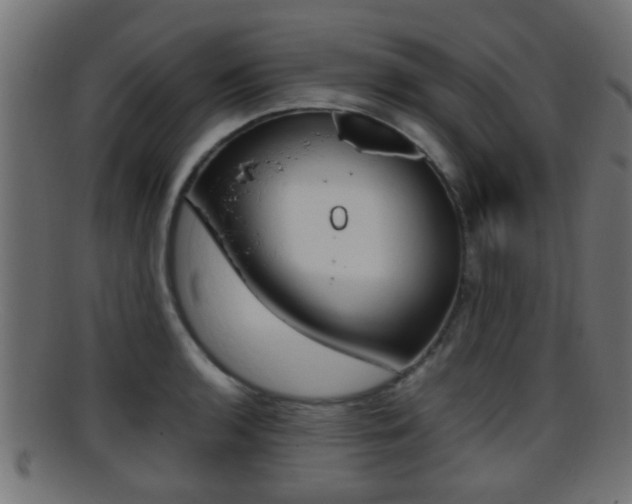 X0000095691136200801081033