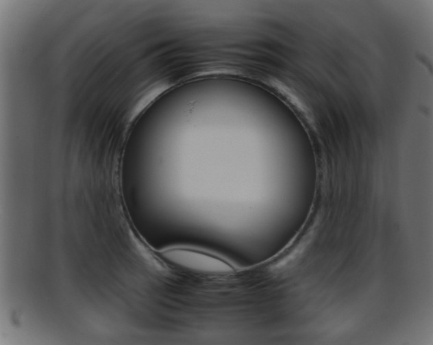 X0000095691137200801081033