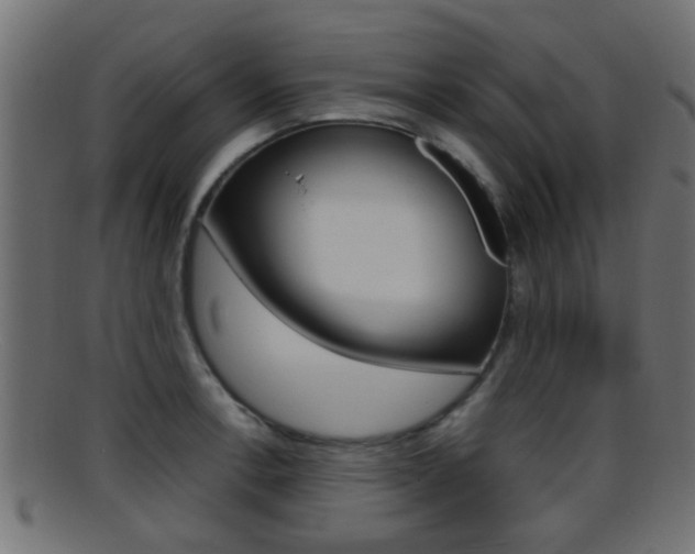 X0000095691138200801081033