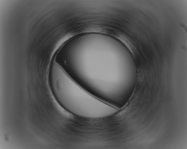 X0000095691139200801081033