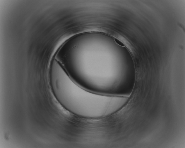 X0000095691140200801081033
