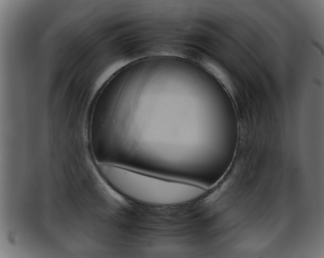 X0000095691141200801081033