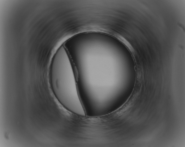 X0000095691144200801081033