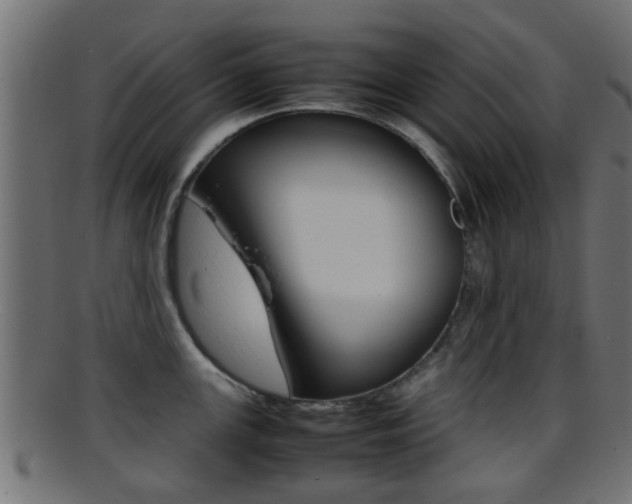X0000095691147200801081033