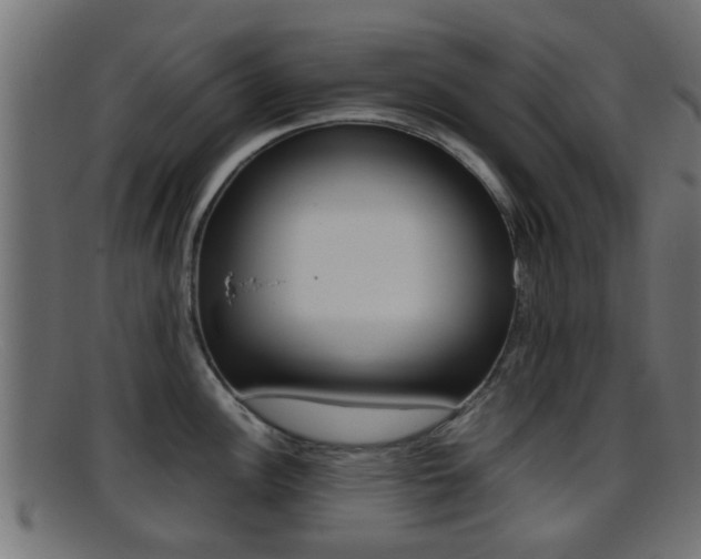 X0000095691148200801081033