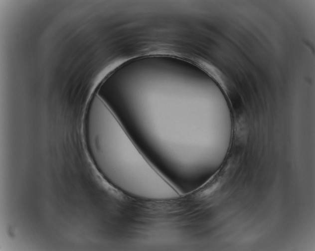 X0000095691149200801081033