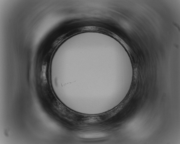 X0000095691150200801081033