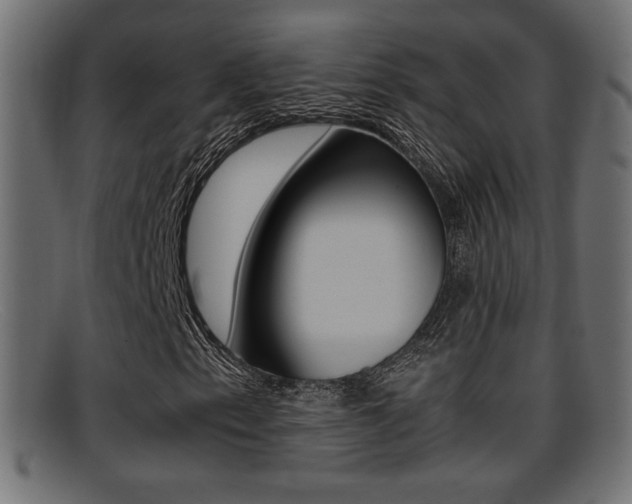X0000095691153200801081033