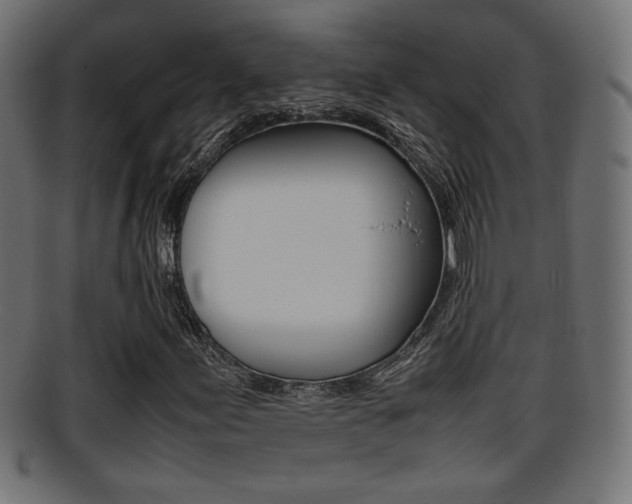 X0000095691155200801081032