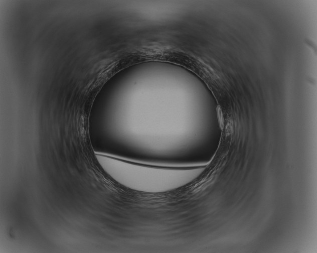 X0000095691156200801081032