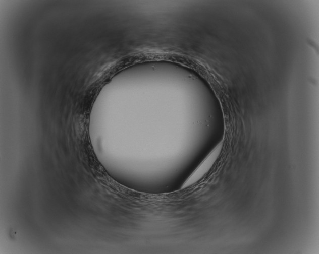 X0000095691157200801081032