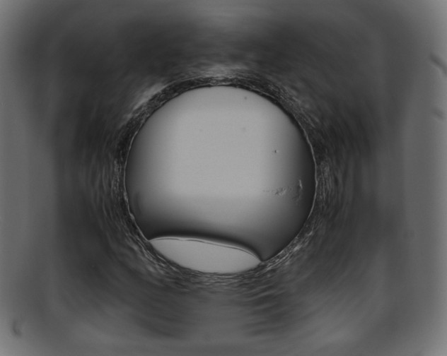 X0000095691158200801081032