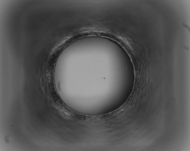 X0000095691159200801081032