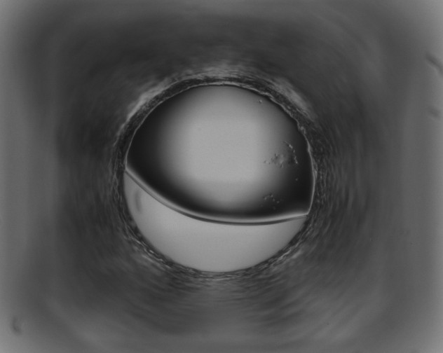 X0000095691160200801081032