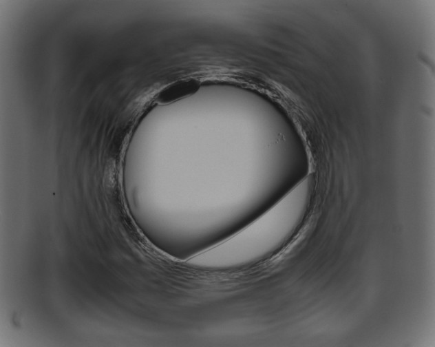 X0000095691161200801081032