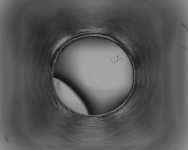 X0000095691163200801081032