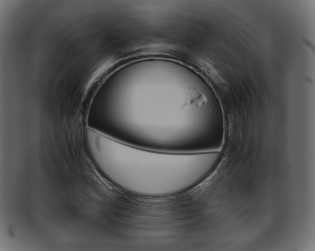 X0000095691164200801081032
