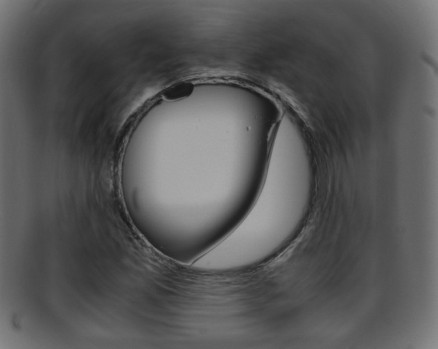 X0000095691165200801081032