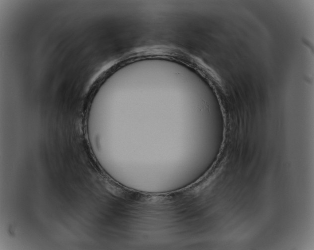 X0000095691166200801081032