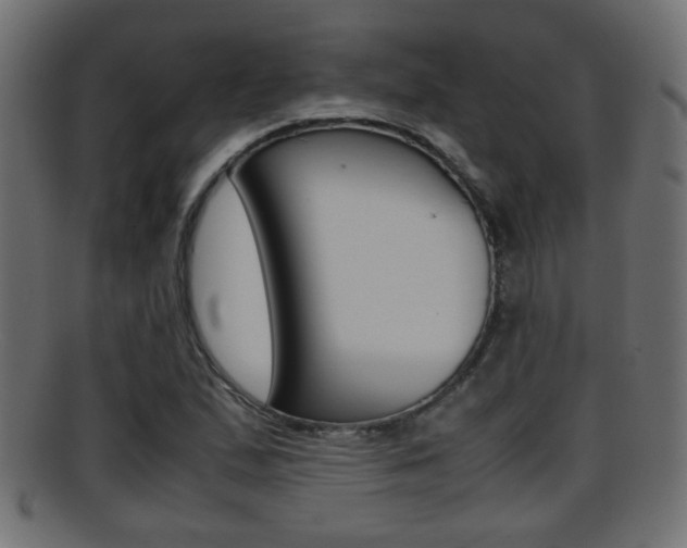 X0000095691167200801081032