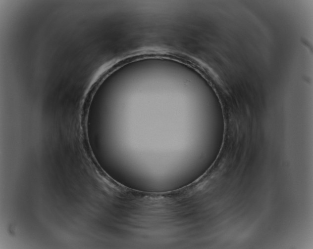 X0000095691168200801081032