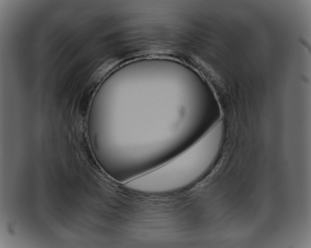 X0000095691169200801081032