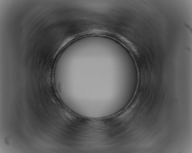 X0000095691170200801081032