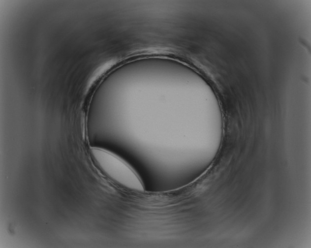 X0000095691171200801081032