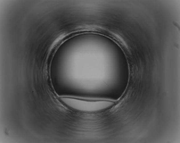 X0000095691172200801081032