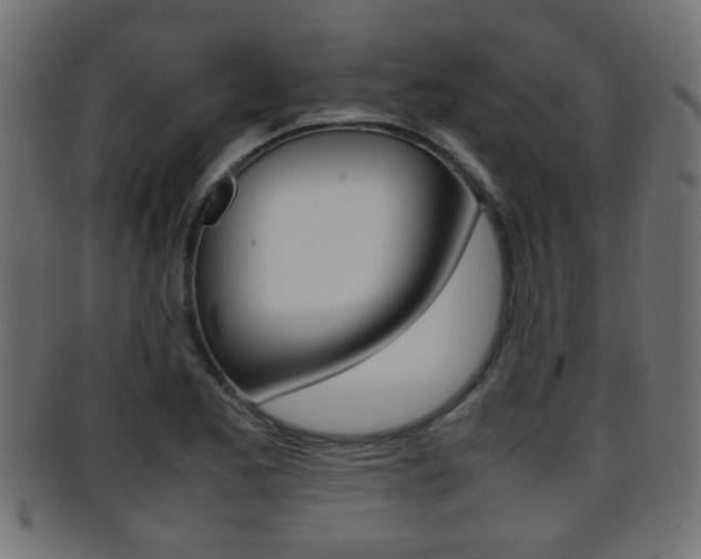 X0000095691173200801081032