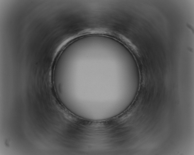 X0000095691174200801081032