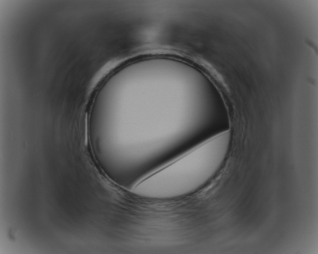 X0000095691175200801081032