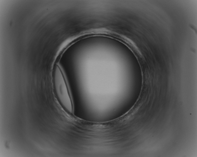 X0000095691176200801081032
